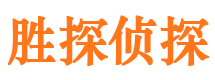 四方市私家侦探